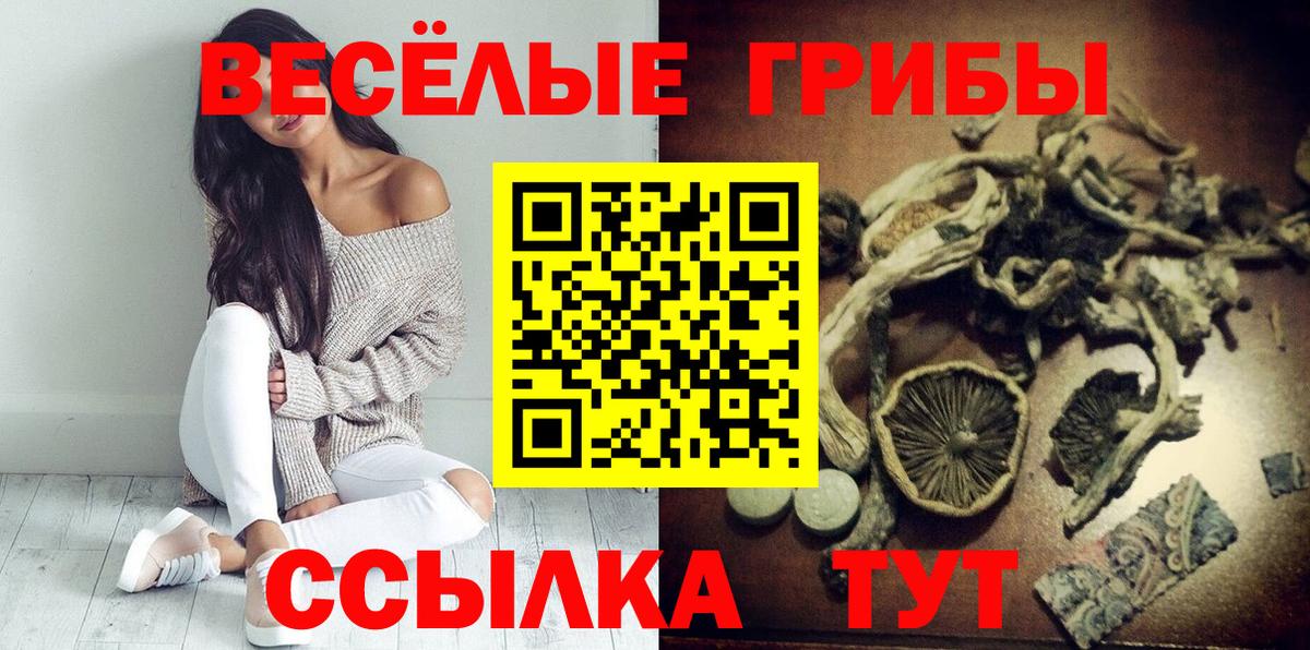 Псилоцибиновые грибы мухоморы  купить наркотик  Урюпинск  Вход с VPN 